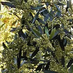 Casa Kalavria A 50mt Dal Mare 公寓
